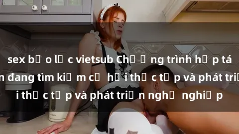 sex bạo lực vietsub Chương trình hợp tác JAV cho sinh viên đang tìm kiếm cơ hội thực tập và phát triển nghề nghiệp